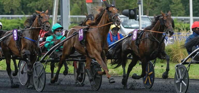 PRIX D’AMÉRIQUE RACES ZETURF QUALIF #3 : 16 FINAL RUNNERS