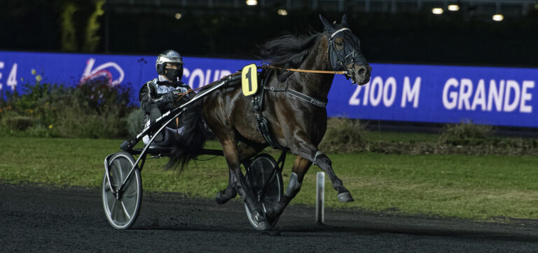 Power, un suédois ambitieux dans le Prix d'Amérique Races ZEturf QUALIF #3