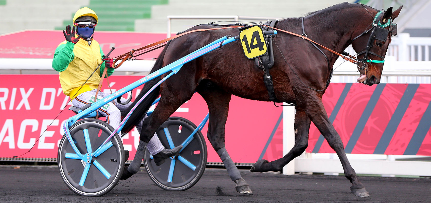 Grand Prix des Nations tremplin towards Prix d’Amérique Races ZEturf?