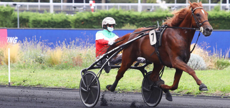 Prix d'Amérique Races ZEturf: like an Italian perfume