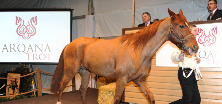 Arqana Trot moves the Prix d'Amerique-Legend Race sales