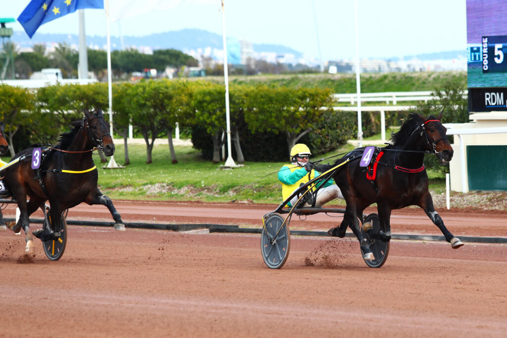 Prix d'Amérique Races ZEturf QUALIF #5: Vivid Wise As can trot fast