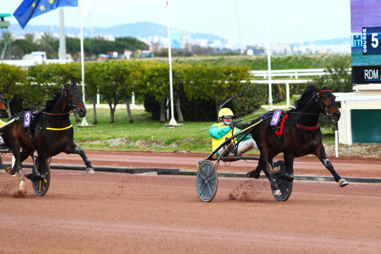 Prix d'Amérique Races ZEturf QUALIF #5 : Vivid Wise As sait trotter vite