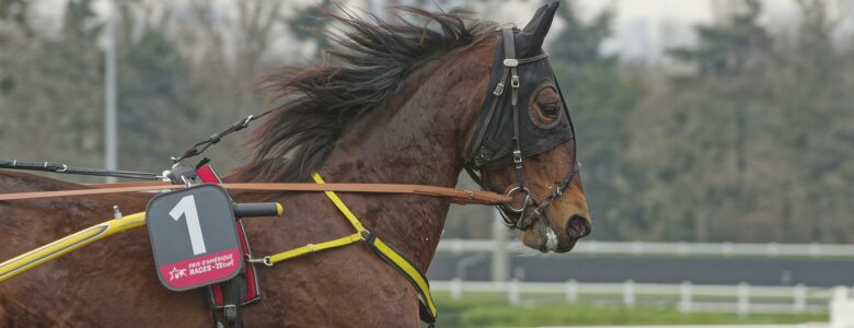 Bahia Quesnot Prix de Cornulier