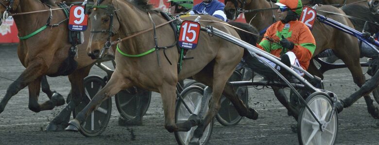 billie de montfort prix d'amérique race zeturf legend race