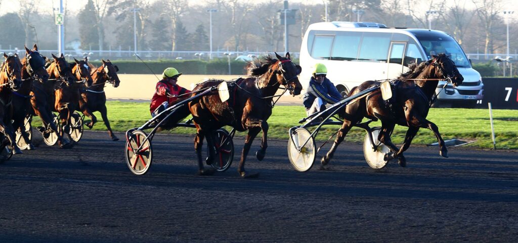 Bird Parker Prix d'Amérique Races ZEturf QUALIF #6 Prix de Belgique