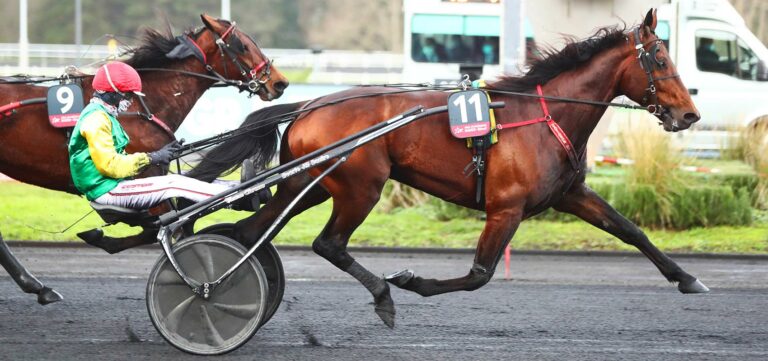 davidson du pont prix d'amérique Races ZEturf QUALIF #6 Prix de Belgique