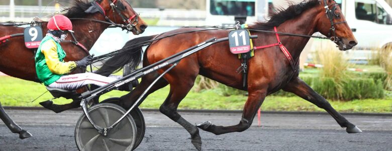 davidson du pont prix d'amérique Races ZEturf QUALIF #6 Prix de Belgique