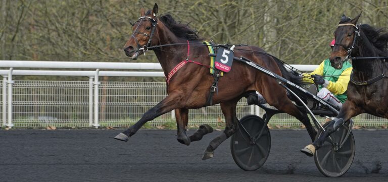 Davidson du Pont Prix d'Amérique Races ZEturf QUALIF #6