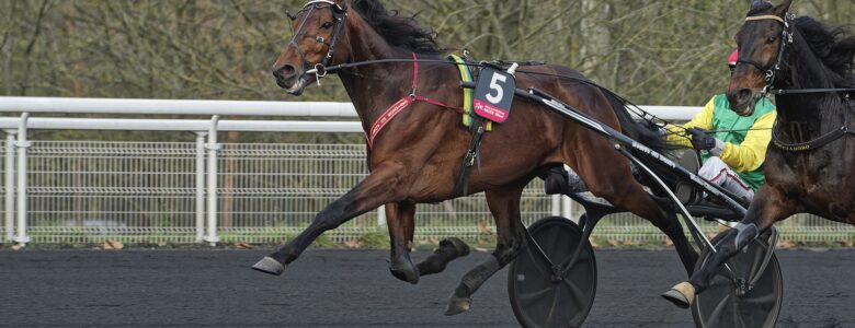 Davidson du Pont Prix d'Amérique Races ZEturf QUALIF #6