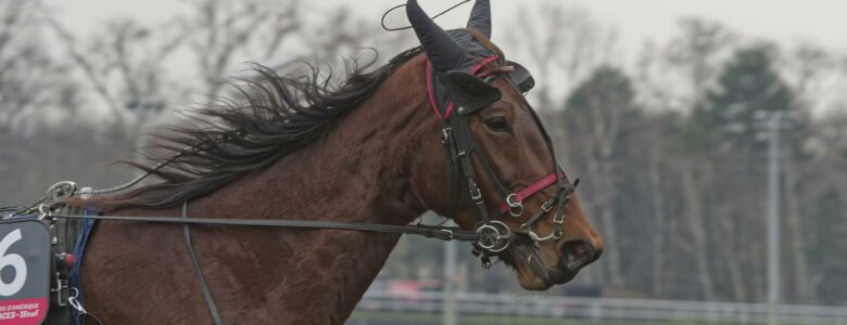 delia du pommereux prix d'amerique races ZEturf