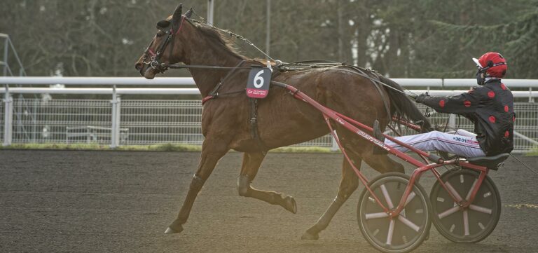 delia du pommereux prix d'amérique races legend race