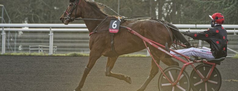 delia du pommereux prix d'amérique races legend race