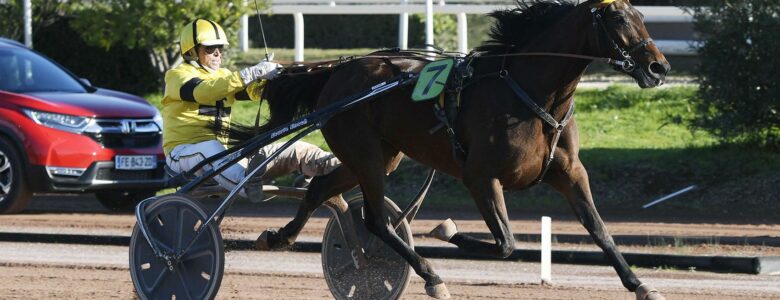 Elsa de Belfonds Prix d'Amérique Races ZEturf QUALIF #6