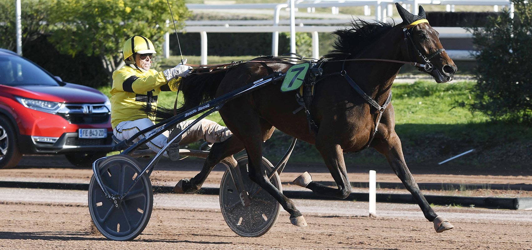 Elsa de Belfonds Prix d'Amérique Races ZEturf QUALIF #6