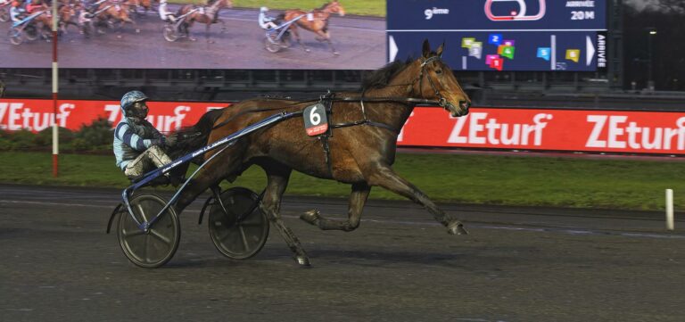 Féérie Wood Prix d'Amérique Races ZEturf QUALIF #6