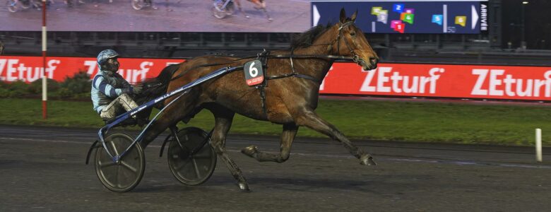 Féérie Wood Prix d'Amérique Races ZEturf QUALIF #6