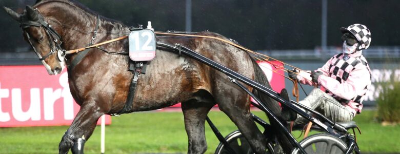 Feliciano Prix d'Amérique Races ZEturf QUALIF #6