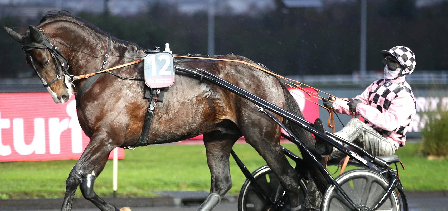 Feliciano Prix d'Amérique Races ZEturf QUALIF #6