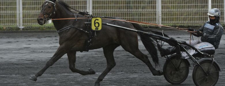 Power Prix d'Amérique Races ZEturf Legend Race