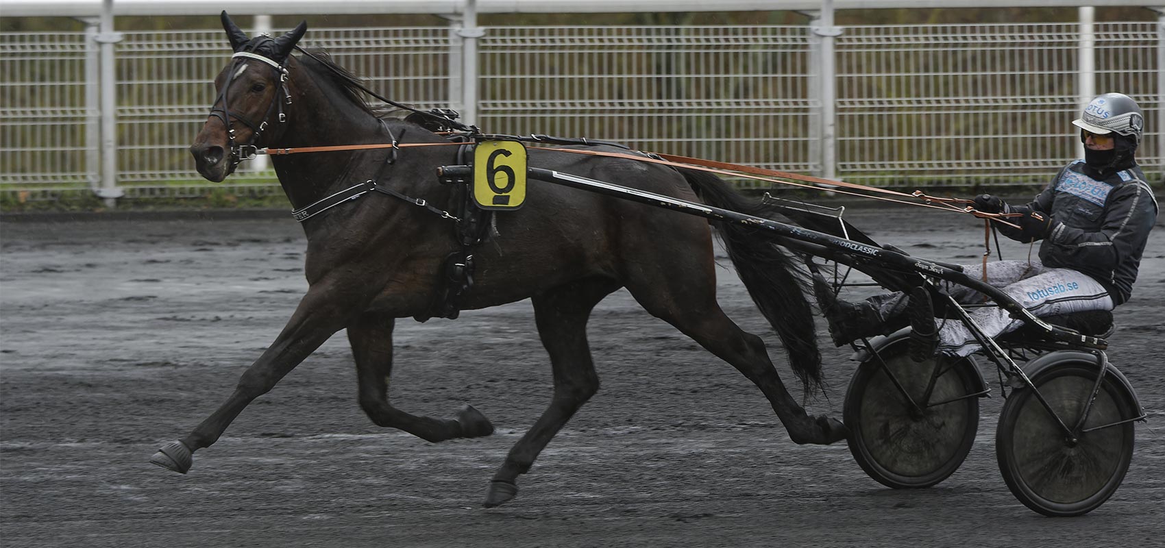 Power Prix d'Amérique Races ZEturf Legend Race