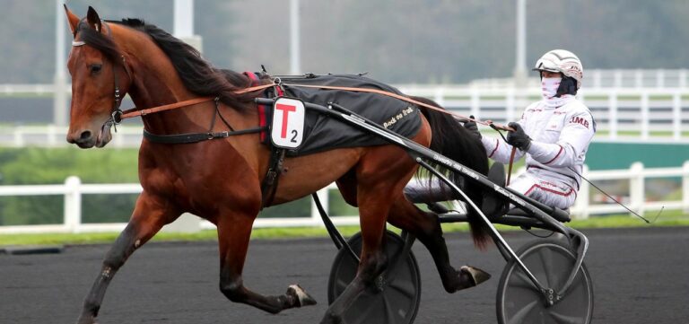 Vitruvio entre dans la danse du Prix d'Amérique Races ZEturf