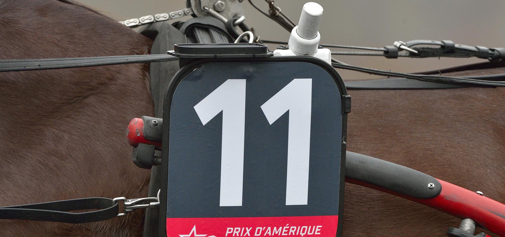 technologie tracking courses au trot