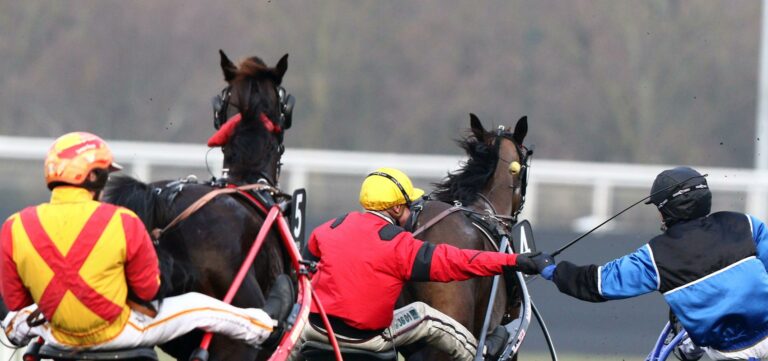 arrivée prix de france 2017 bold eagle timoko voltigeur de myrt