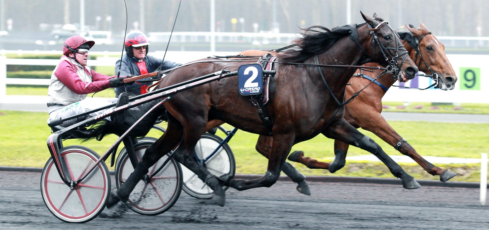 Ils ont pris leur revanche dans le Prix de France Speed Race 1/4