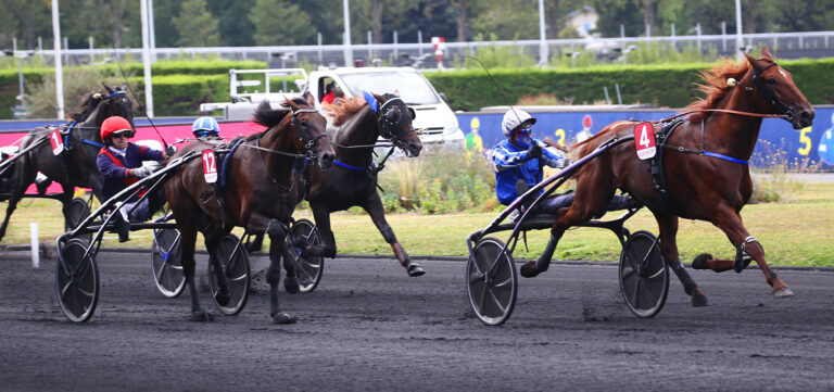 galius - sulky 5 ans finale - critérium des 5 ans