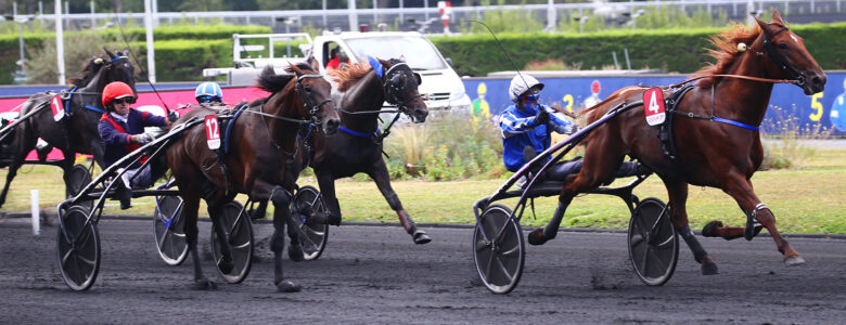 galius - sulky 5 ans finale - critérium des 5 ans