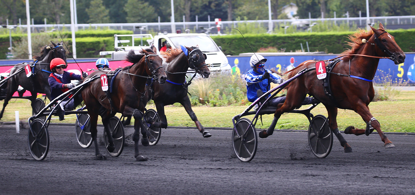 galius - sulky 5 ans finale - critérium des 5 ans