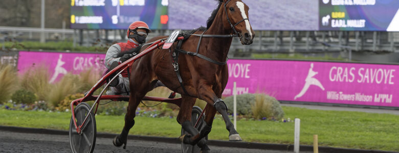 chica de joudes