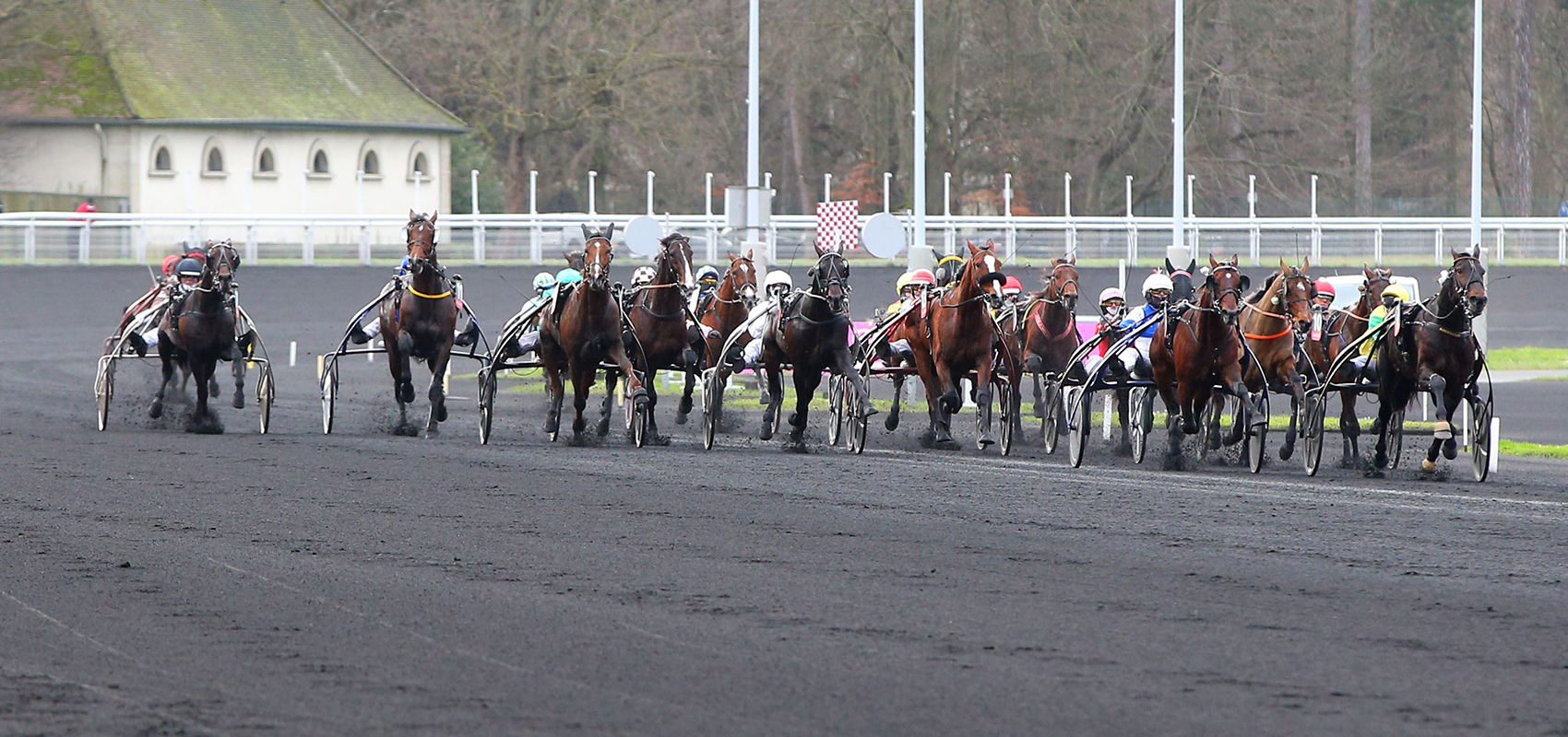 Prix d’Amérique Races ZEturf Qualif #5 : les caméras embarquées