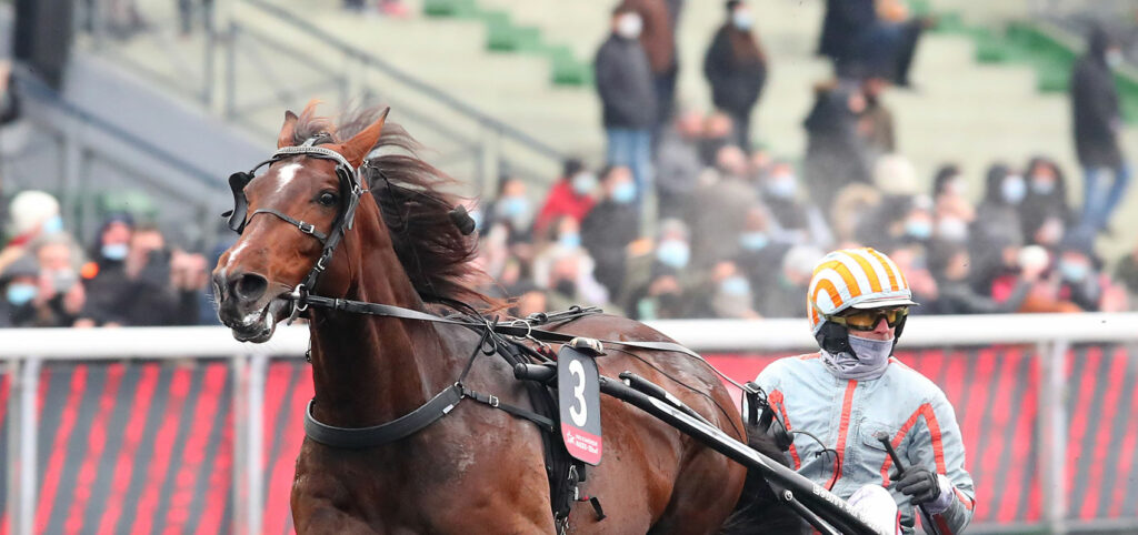 feydeau seven jean michel bazire prix d'amerique qualif 6