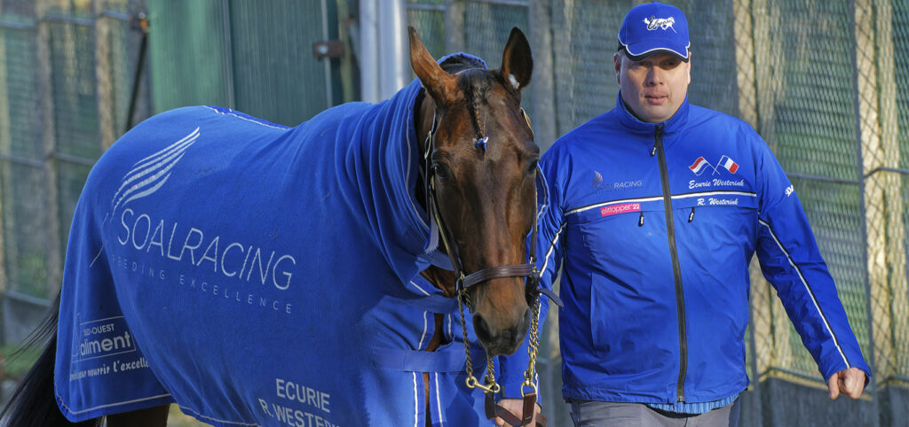 Prix d'Amérique Races ZEturf Qualif #5 : Etonnant parmi les chevaux engagés