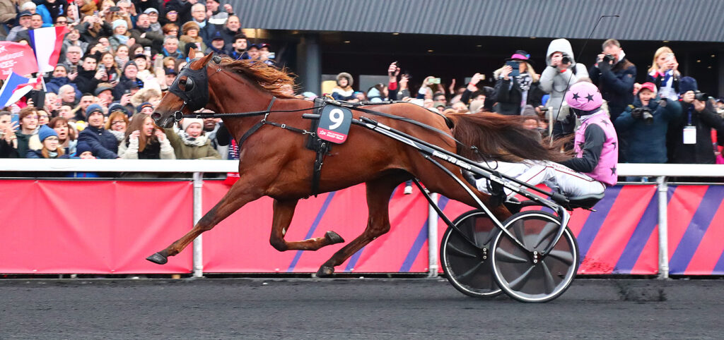 Prix d'Amérique Legend Race : Hooker Berry, un vainqueur pas comme les autres