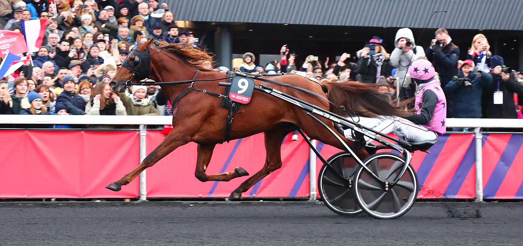 Prix d’Amérique Legend Race : Hooker Berry, un vainqueur pas comme les autres