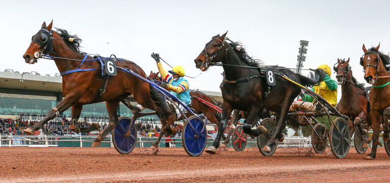 Cagnes-sur-Mer attend les champions des Prix d'Amérique Races ZEturf