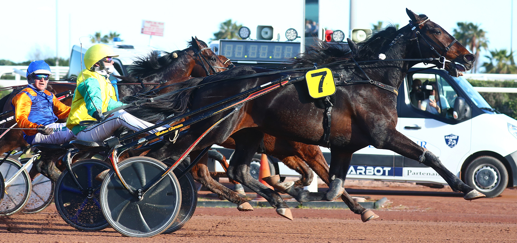 Vivid Wise As est bien le roi de Cagnes-sur-Mer !