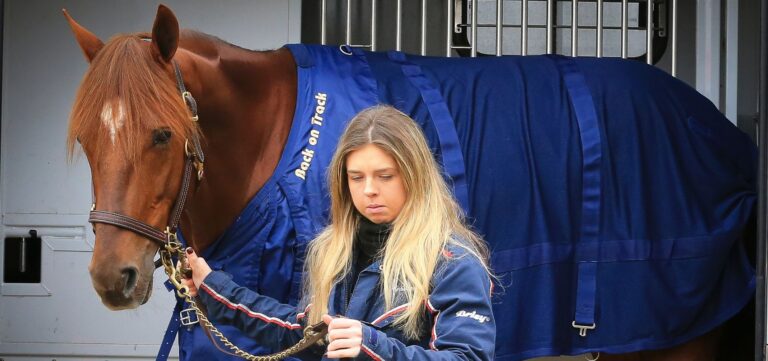 Les champions des Prix d'Amérique Races entre paddocks et starting-blocks